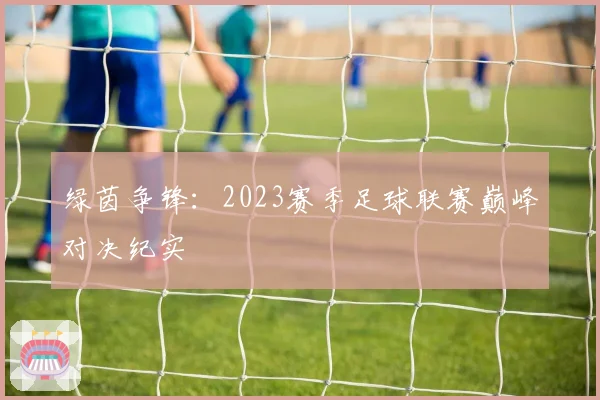 绿茵争锋:2023赛季足球联赛巅峰对决纪实