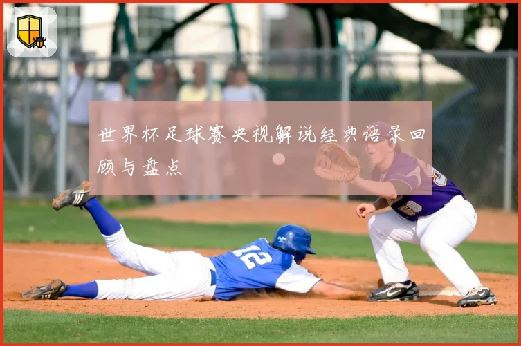 世界杯足球赛央视解说经典语录回顾与盘点