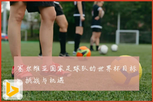 塞尔维亚国家足球队的世界杯目标:挑战与机遇